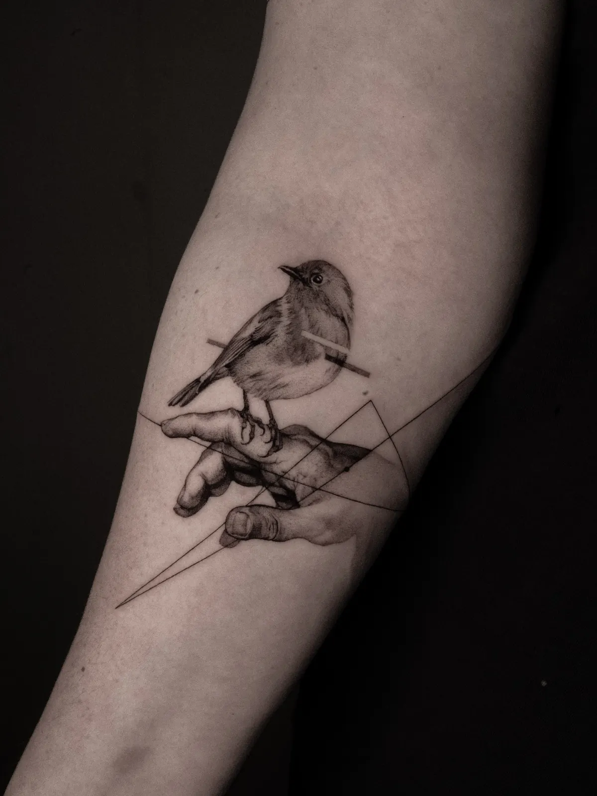 Sparrow on Hand — tattoo by Ted Faulmann