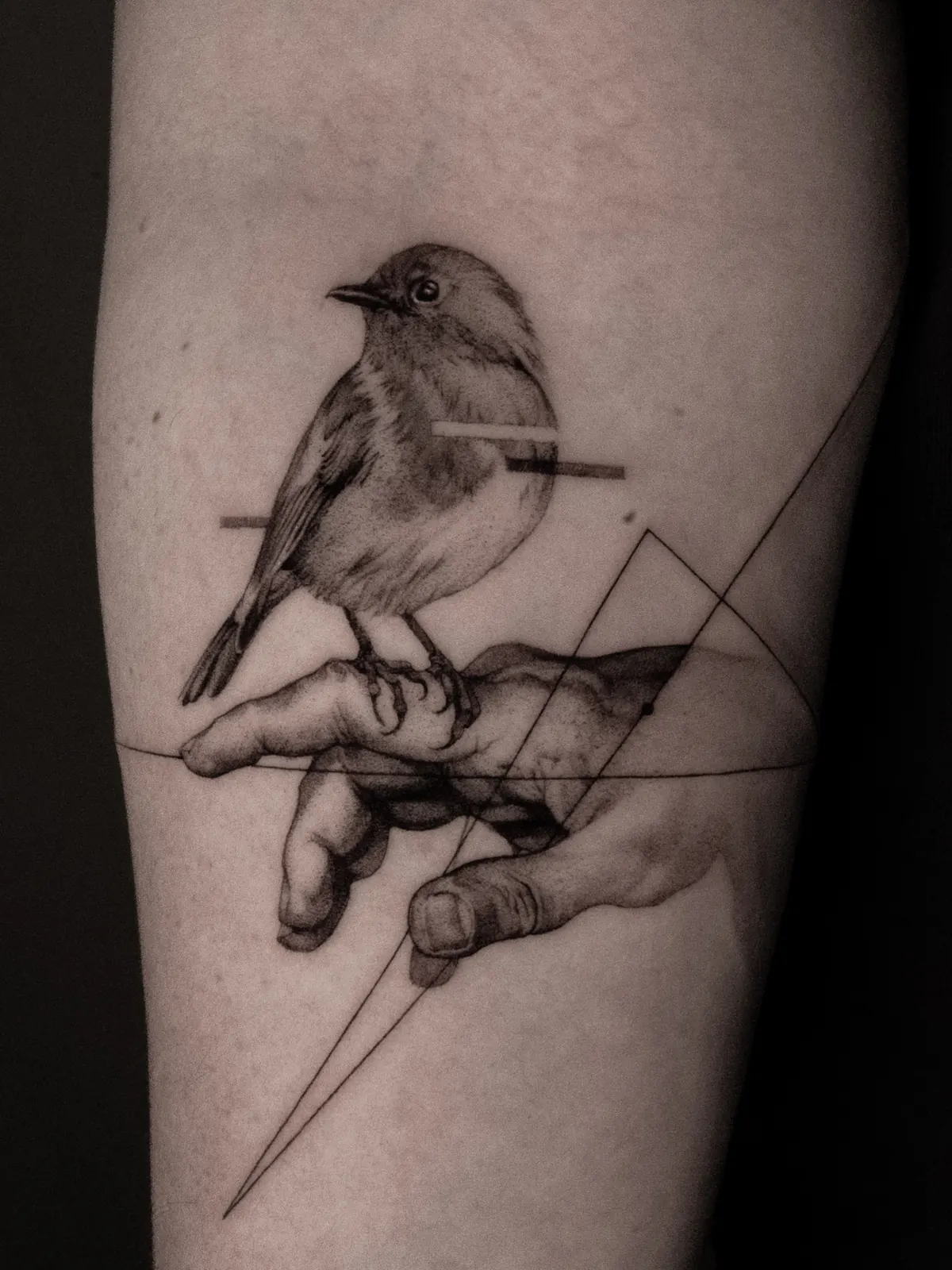 Sparrow on Hand (detail) — tattoo by Ted Faulmann