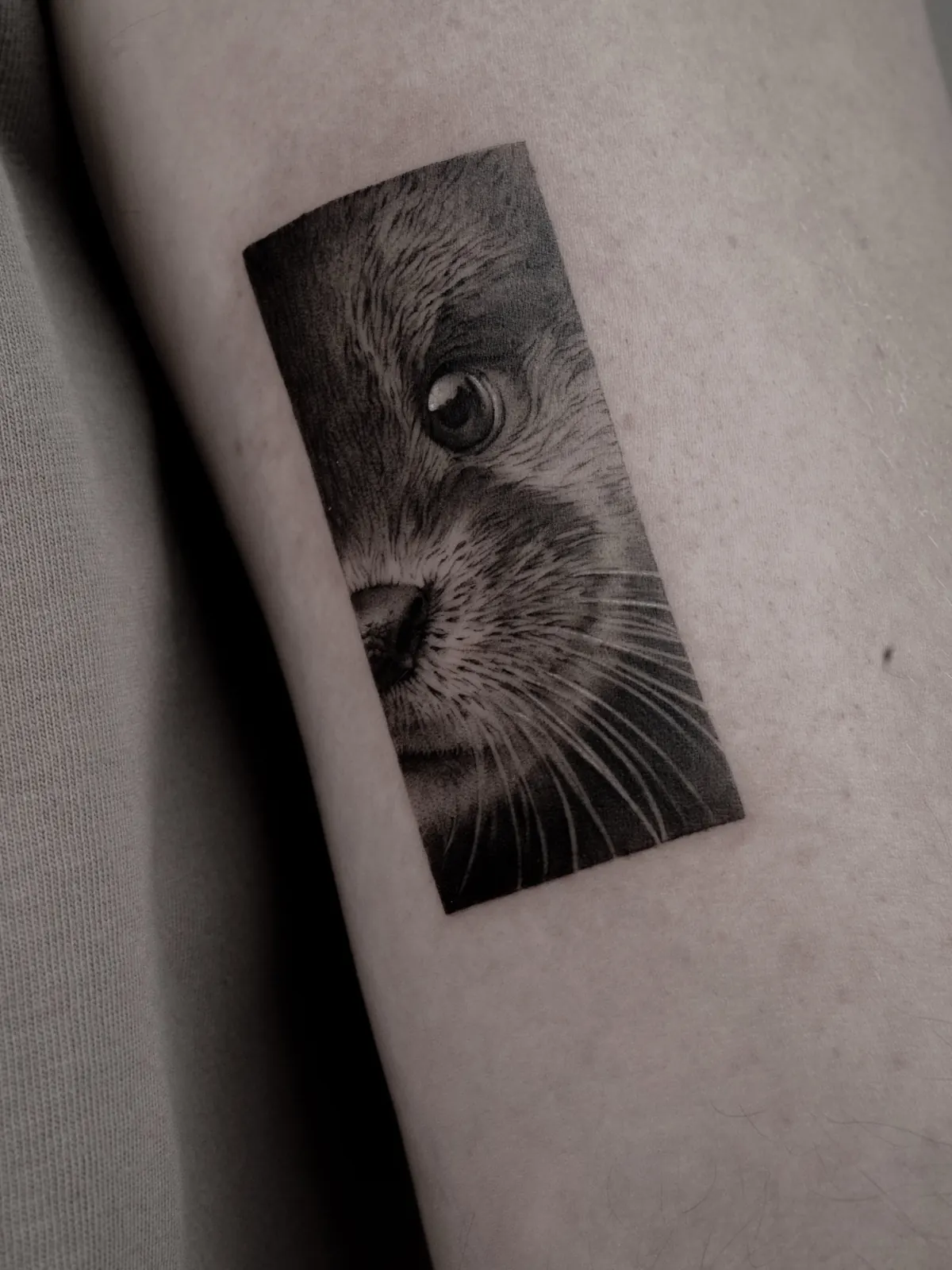Fragment (detail) — tattoo by Ted Faulmann