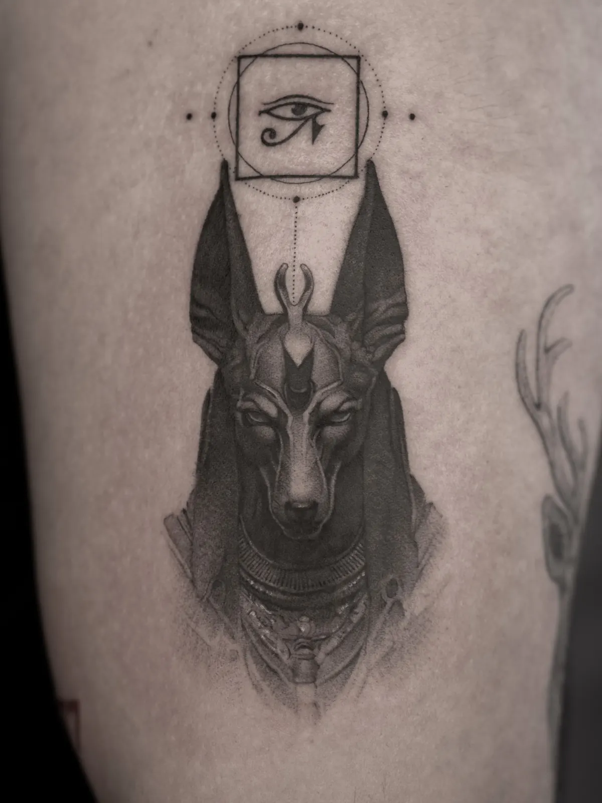 Anubis — tattoo by Ted Faulmann